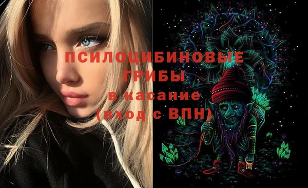 дживик Алексеевка