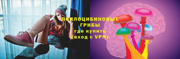 дживик Алексеевка