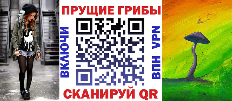 наркошоп  Чухлома  Галлюциногенные грибы Psilocybine cubensis 